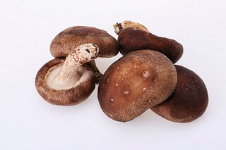 责任的名言集萃（责任的名言名句大全人生哲理）