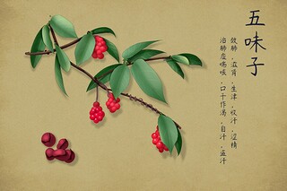 我爱大榕树写景作文（我爱家乡的大榕树作文400字）