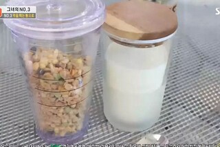 又见雾霾天倡议作文（雾霾天见闻作文600字）