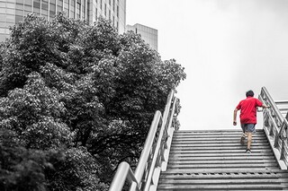 故乡的夏夜作文（故乡的夏夜阅读答案）