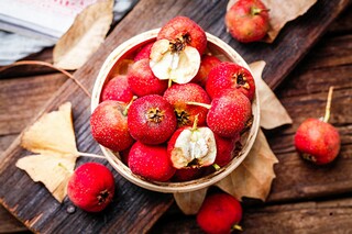 春天的朗诵稿_春天的朗诵稿1到3分钟左右