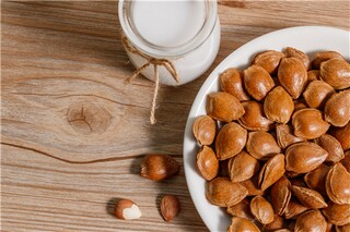 光明磊落的反义词初中_光明磊落的反义词和近义词