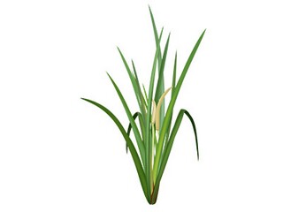 优秀护士护士节的获奖感言_护士节获奖感言简短