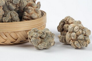 幻想的作文500字（幻想的作文500字六年级）