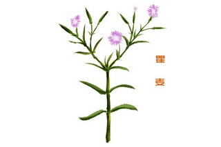 读书陪伴我的成长作文700字（读书陪我成长的手抄报）