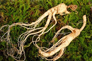 爱心企业关爱留守儿童文案（爱心企业关爱留守儿童活动主持稿）