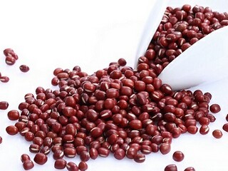 珍惜亲情的唯美句子（珍惜亲情的唯美句子古风）