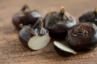 烈火见真金成语解释_烈火见真金的下一句是什么