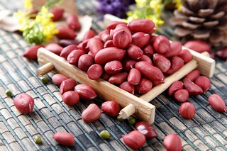 爱情的唯美句子摘录76条_爱情的优美句子