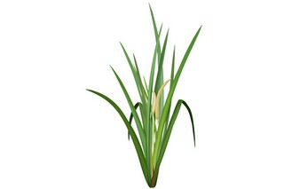 感恩节快乐同学微信祝福短信_感恩节给同学说的话