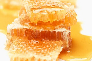 正确的学习方法_小学生学习好方法