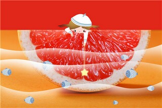 梅花的诗句集_梅花的诗句全部