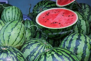 南湖公园作文（南湖公园作文结尾八十字）