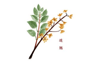 学生校园欺凌心得体会_校园欺凌心得体会2025年