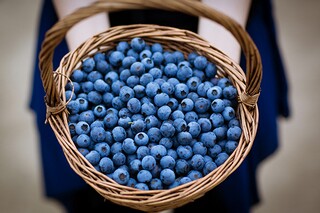 养金鱼的启示作文350字_养金鱼的启示400字