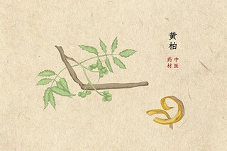 绿色教师节庆祝活动方案_绿色教师节倡议书大家怎么看_