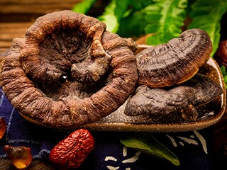 教师节送给老师的话（教师节送给老师的话怎么写二年级）