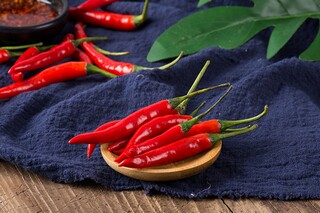 最新跆拳道教学计划_跆拳道年度教学计划大纲